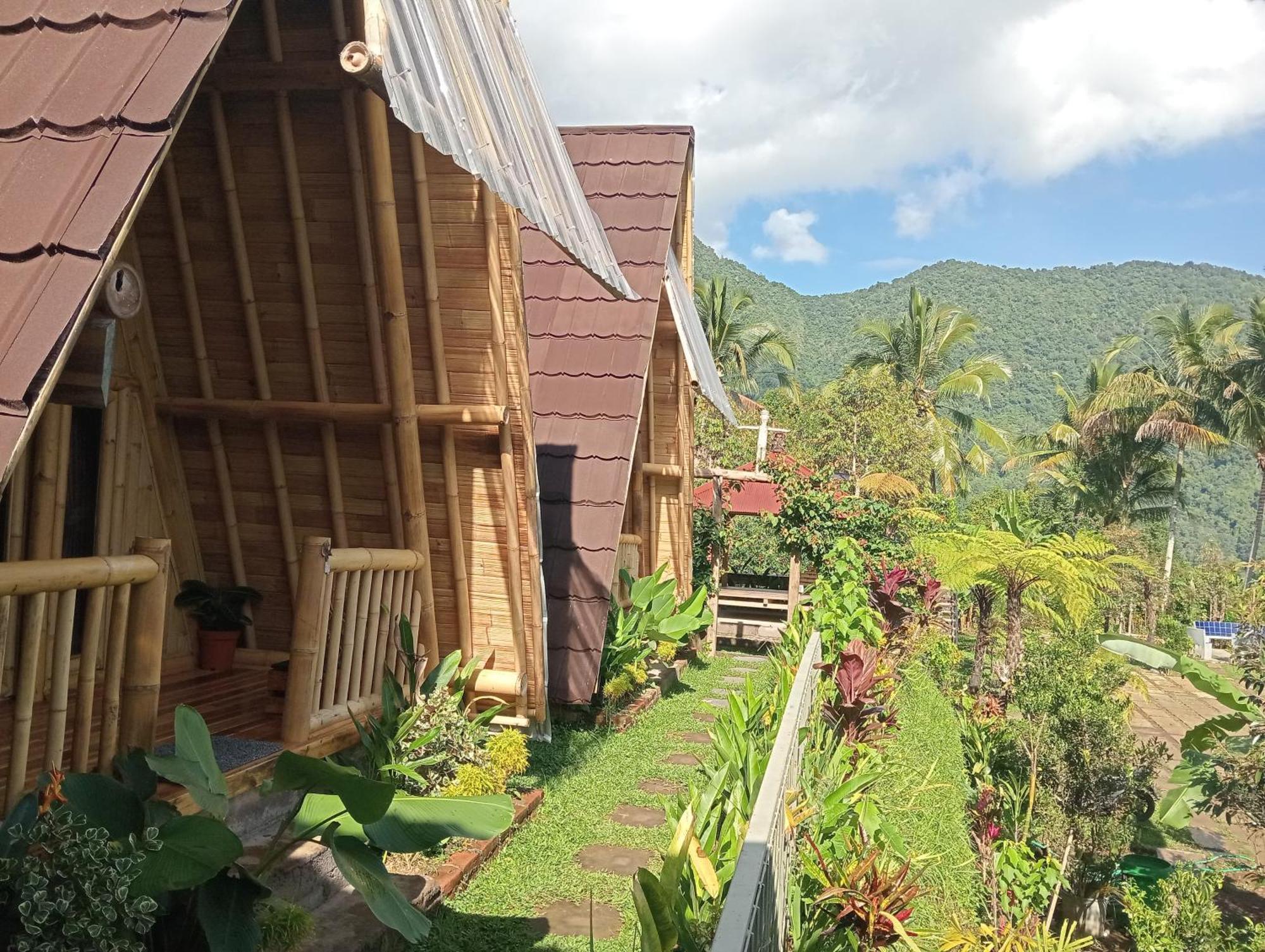 Sekumpul Bali Hidden Space Singaraja Buitenkant foto