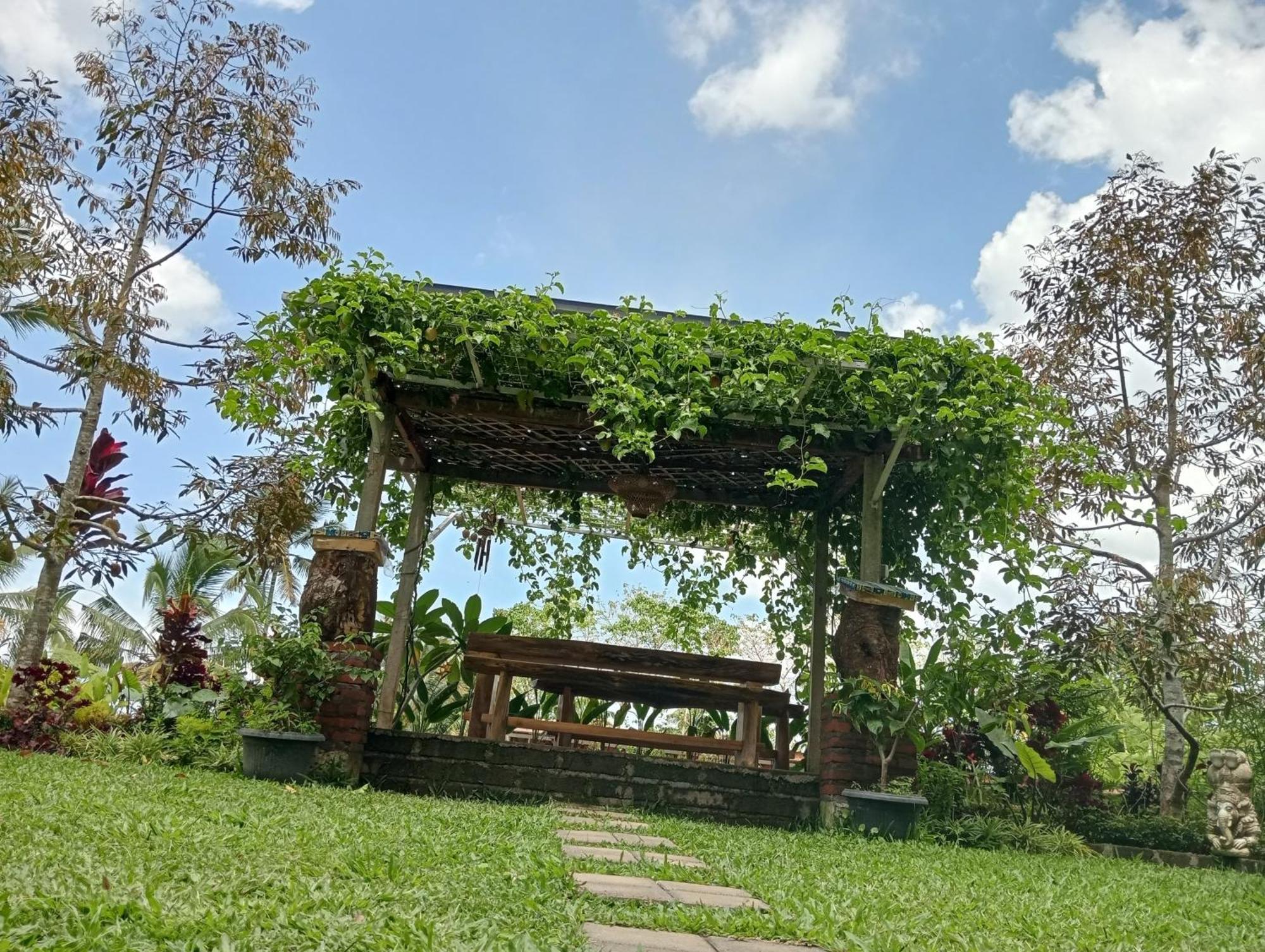 Sekumpul Bali Hidden Space Singaraja Buitenkant foto